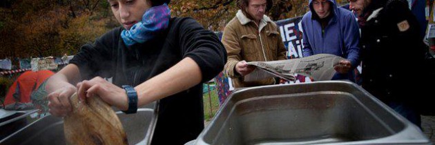 Interview mit einer Aktivistin von Occupy Frankfurt