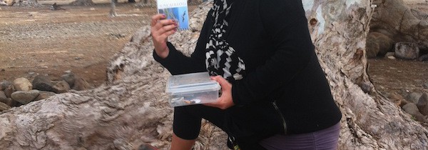 Wie funktioniert Geo-Caching?