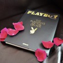 Die schönsten Playmates der letzten zehn Jahre