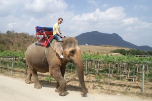 Christoph unterwegs in Asien (VonUnterwegs.com)